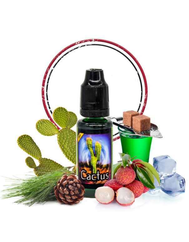 Image principale du DIY Cactus en 20ml Image principale du DIY Cactus en 20ml