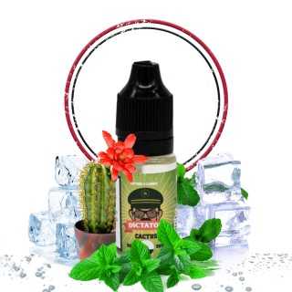 Image principale du Cactus en 10ml